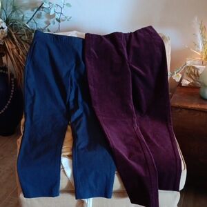 Theory Pants Two Pairs